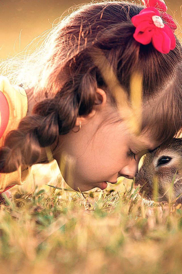 Обои трава, девочка, ребенок, кролик, животное, дружба, заяц, grass, girl, child, rabbit, animal, friendship, hare разрешение 2000x1125 Загрузить