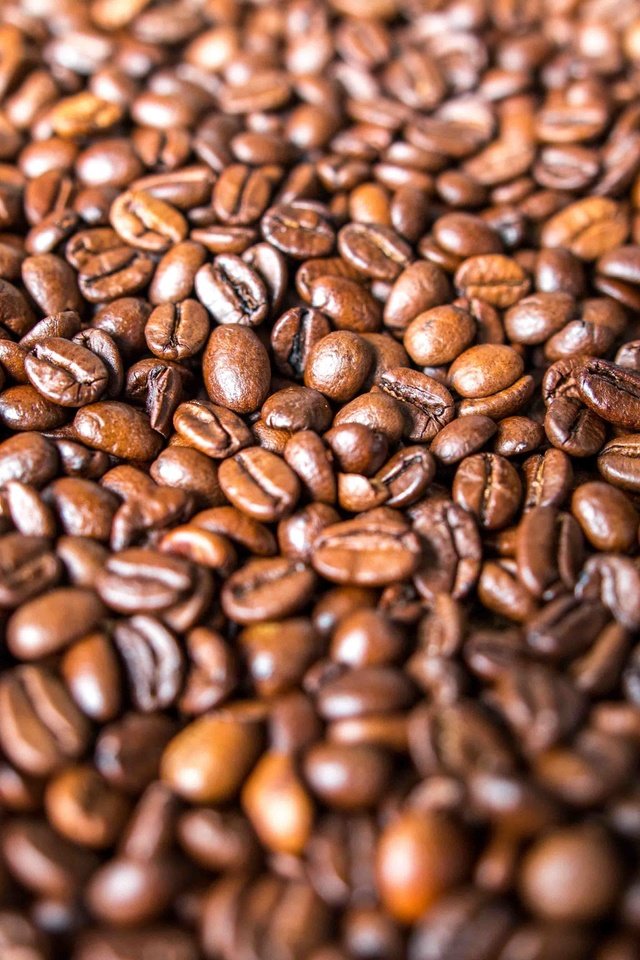 Обои зерна, кофе, много, кофейные зерна, grain, coffee, a lot, coffee beans разрешение 5472x3648 Загрузить