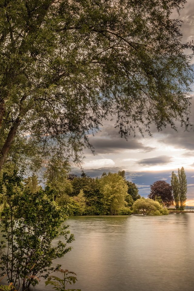 Обои небо, облака, деревья, вечер, озеро, природа, пейзаж, ветки, the sky, clouds, trees, the evening, lake, nature, landscape, branches разрешение 2048x1367 Загрузить