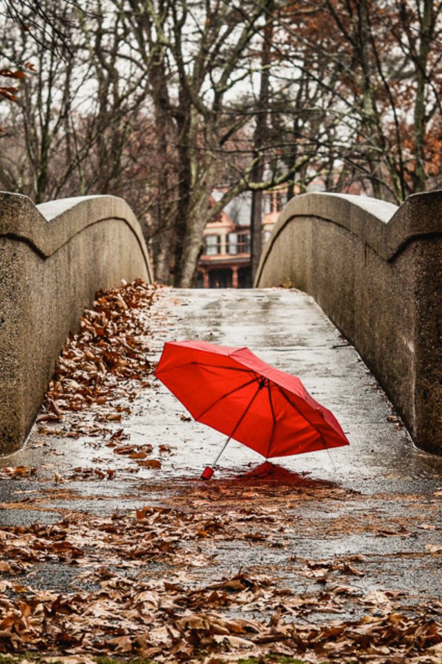 Обои мост, город, осень, красный, зонтик, bridge, the city, autumn, red, umbrella разрешение 2048x1305 Загрузить