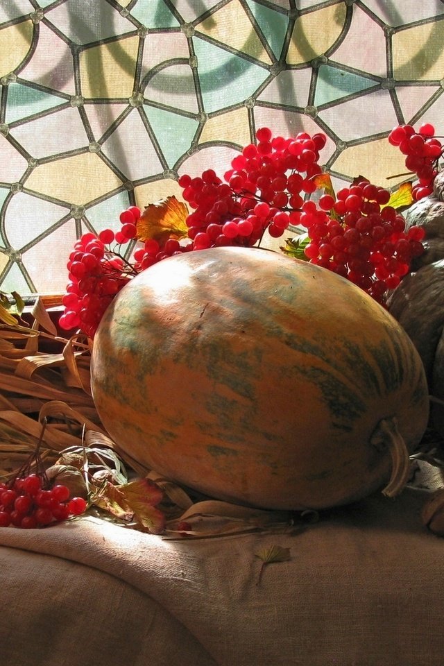 Обои свет, орехи, окно, тыквы, натюрморт, калина, light, nuts, window, pumpkin, still life, kalina разрешение 1920x1080 Загрузить