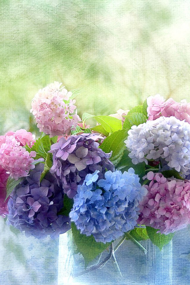 Обои цветы, букет, ваза, гортензии, flowers, bouquet, vase, hydrangeas разрешение 2560x1600 Загрузить