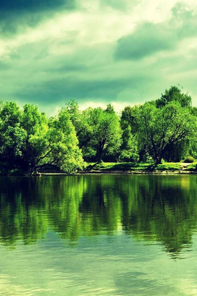 Обои деревья, озеро, природа, зелень, отражение, ladnscape, trees, lake, nature, greens, reflection разрешение 1920x1080 Загрузить