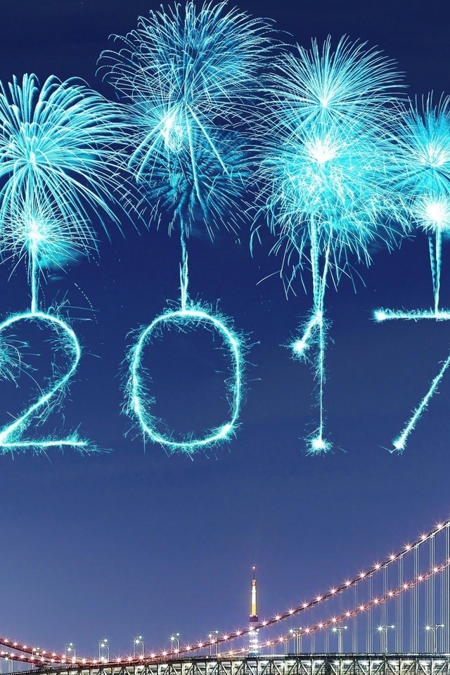Обои новый год, фейерверки, 2017, счастливый, new year, fireworks, happy разрешение 2560x1600 Загрузить