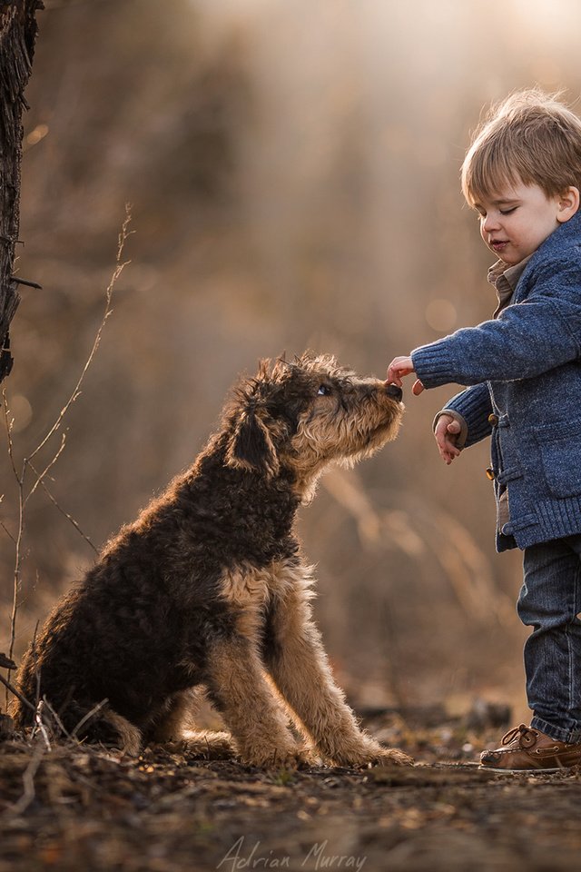 Обои собака, мальчик, друзья, dog, boy, friends разрешение 1920x1200 Загрузить