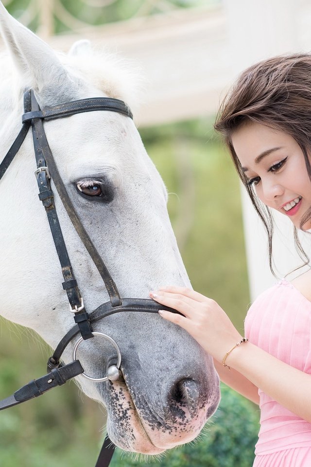 Обои лошадь, девушка, настроение, конь, азиатка, horse, girl, mood, asian разрешение 2047x1290 Загрузить