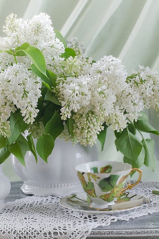 Обои цветы, чашка, салфетка, чайник, сирень, натюрморт, flowers, cup, napkin, kettle, lilac, still life разрешение 1920x1200 Загрузить