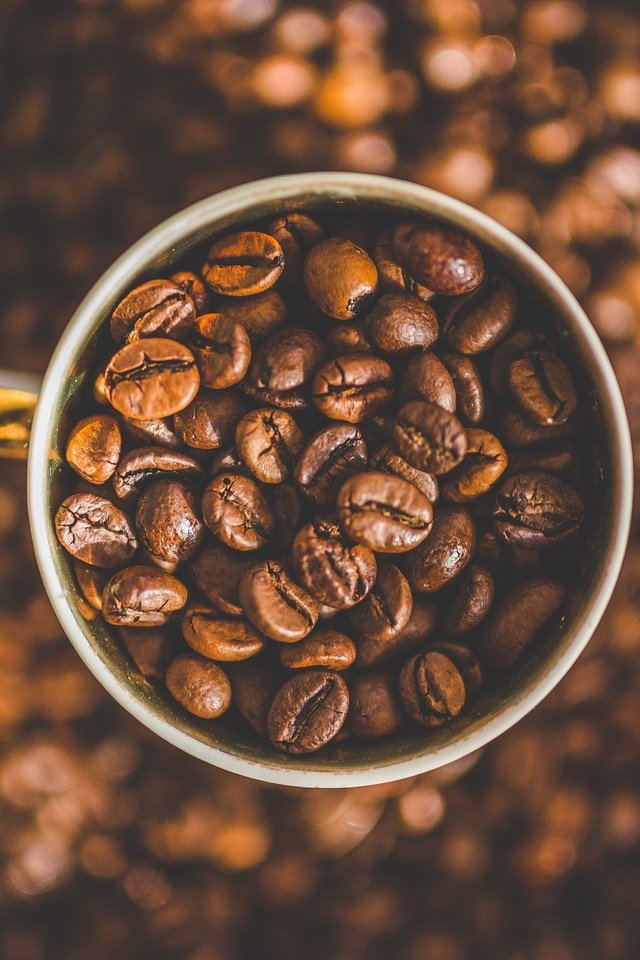 Обои зерна, кофе, чашка, кофе в зернах, grain, coffee, cup, coffee bean разрешение 4955x3303 Загрузить