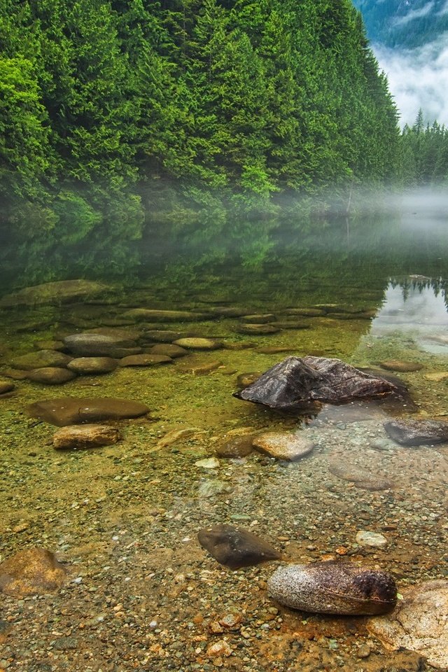 Обои деревья, вода, река, природа, камни, пейзаж, trees, water, river, nature, stones, landscape разрешение 1920x1080 Загрузить