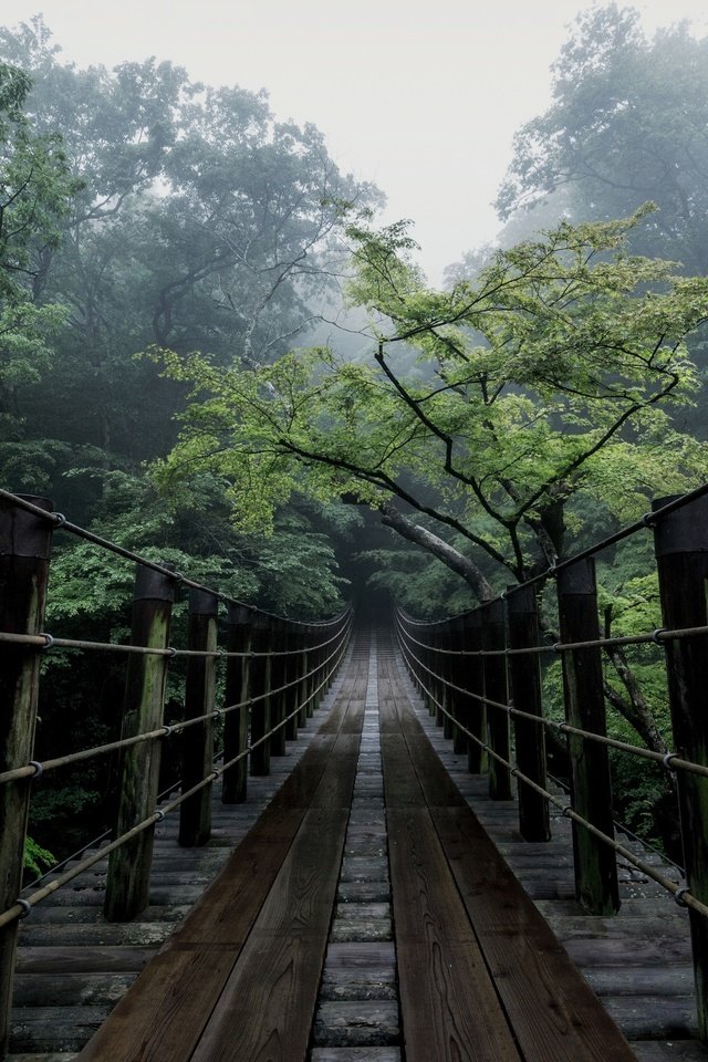 Обои деревья, природа, мост, япония, дымка, trees, nature, bridge, japan, haze разрешение 2500x1667 Загрузить