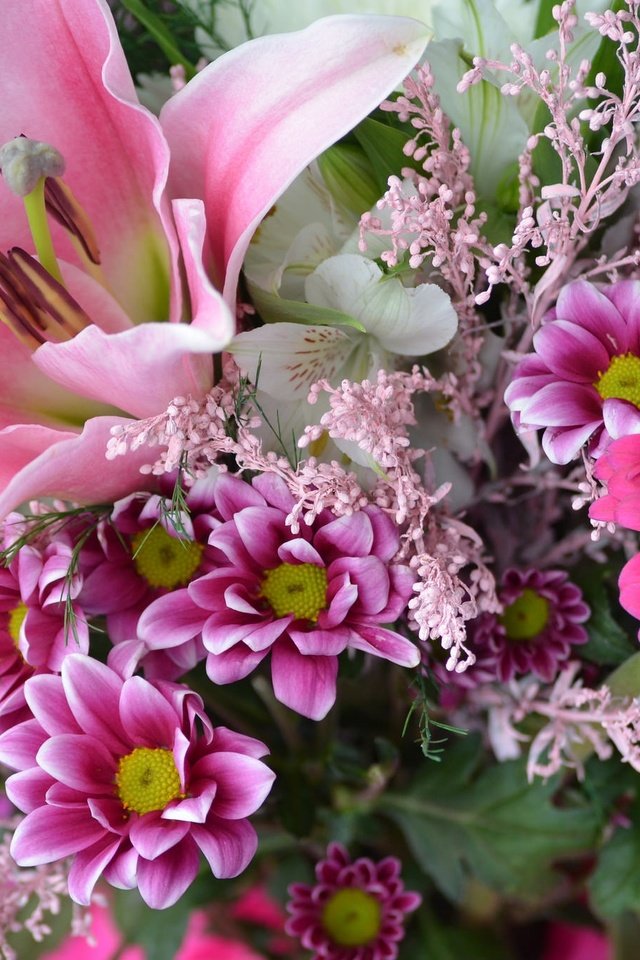 Обои цветы, лилия, букет, хризантема, гербера, flowers, lily, bouquet, chrysanthemum, gerbera разрешение 2048x1356 Загрузить