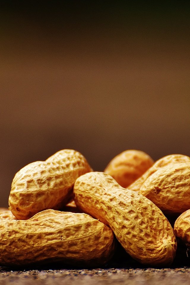 Обои орехи, скорлупа, арахис, орешки, земляной орех, alexas_fotos, оболочка, nuts, shell, peanuts, groundnuts разрешение 5991x2660 Загрузить