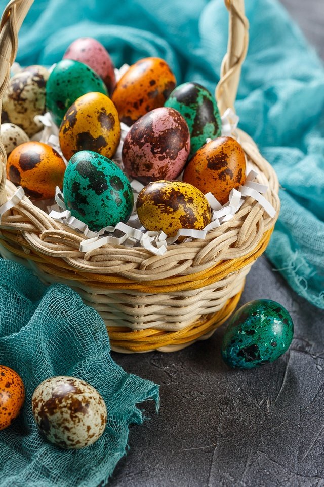 Обои пасха, корзинка, яйца крашеные, easter, basket, the painted eggs разрешение 5472x3648 Загрузить