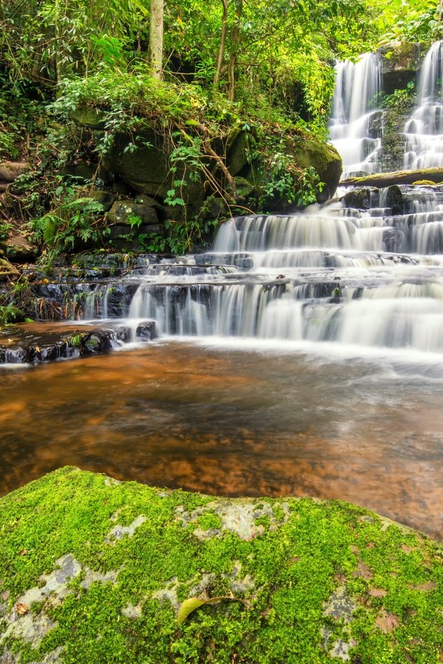 Обои река, лес, водопад, джунгли, ландшафт, красива, river, forest, waterfall, jungle, landscape, beautiful разрешение 6016x4016 Загрузить