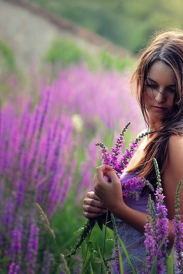 Обои цветы, девушка, лаванда, взгляд, волосы, flowers, girl, lavender, look, hair разрешение 1920x1080 Загрузить