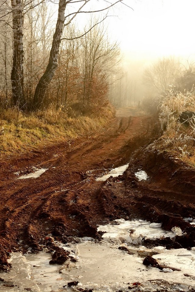 Обои свет, дорога, деревья, снег, туман, light, road, trees, snow, fog разрешение 1920x1280 Загрузить