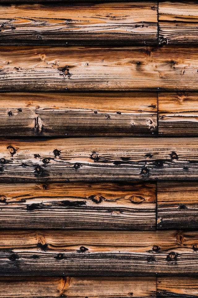 Обои дерево, текстура, стена, доски, деревянная поверхность, tree, texture, wall, board, wooden surface разрешение 4227x2759 Загрузить