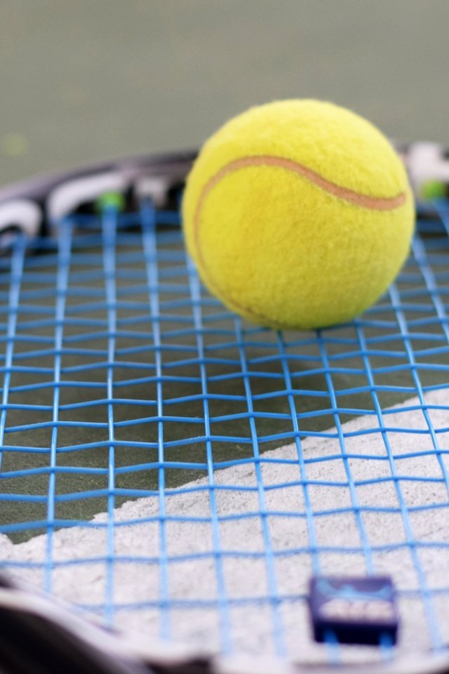 Обои спорт, мяч, теннис, ракетка, sport, the ball, tennis, racket разрешение 6000x4000 Загрузить