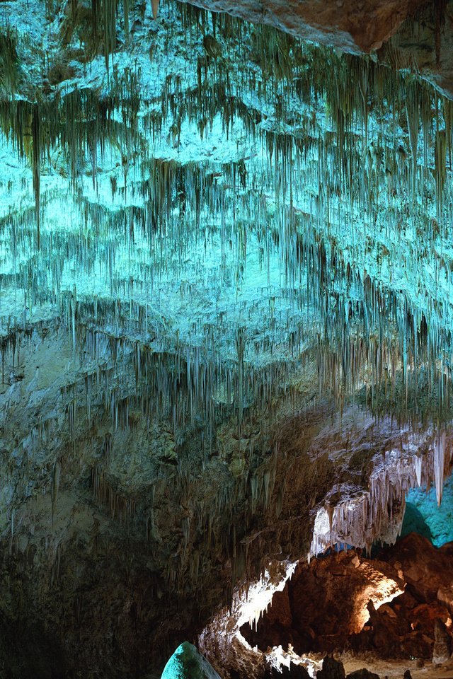 Обои сша, пещера, нью-мексико, карлсбадские пещеры, carlsbad cavern, сталактиты, usa, cave, new mexico, carlsbad caverns, stalactites разрешение 1920x1080 Загрузить