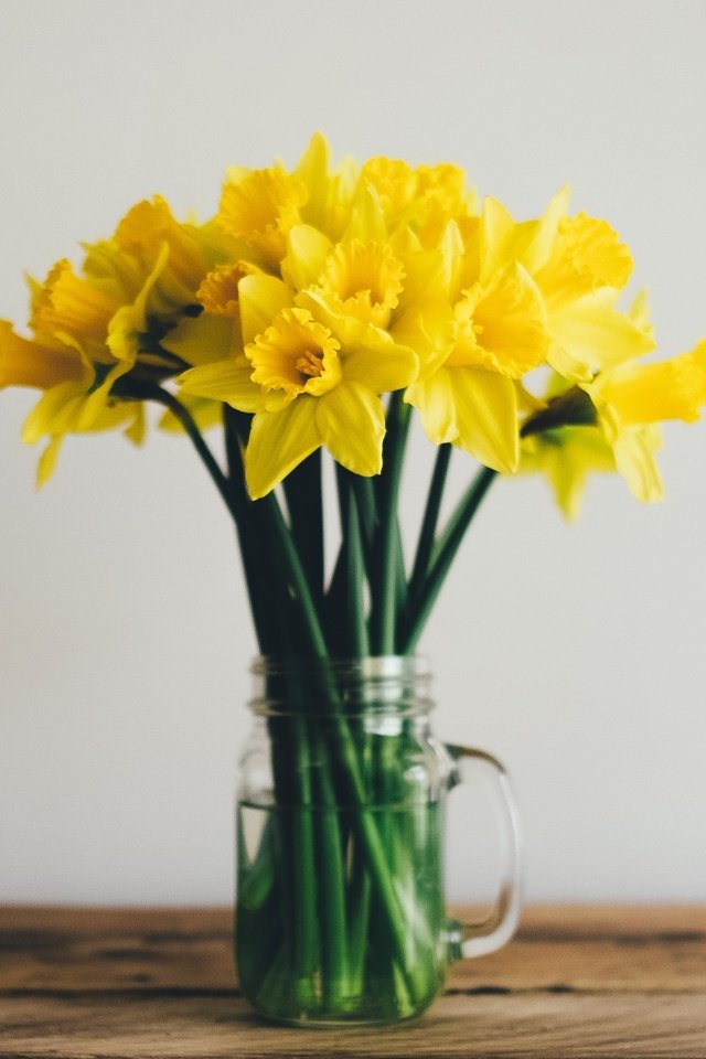 Обои цветы, букет, нарциссы, желтые, flowers, bouquet, daffodils, yellow разрешение 2560x1440 Загрузить