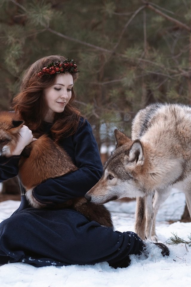 Обои снег, природа, лес, девушка, животные, лиса, волосы, волк, snow, nature, forest, girl, animals, fox, hair, wolf разрешение 2250x1500 Загрузить