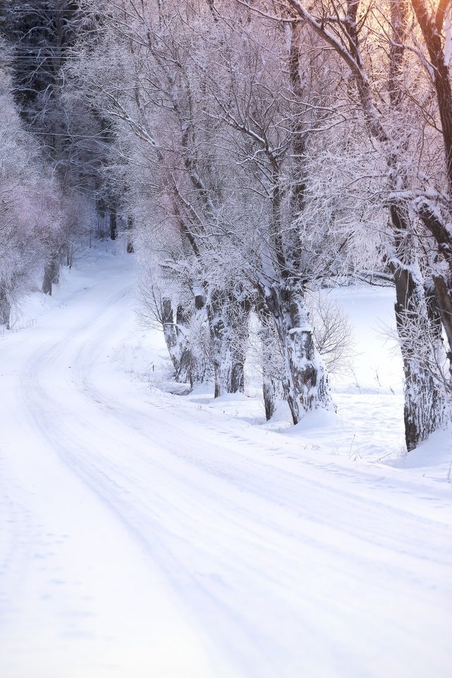 Обои дорога, деревья, снег, зима, road, trees, snow, winter разрешение 2048x1365 Загрузить