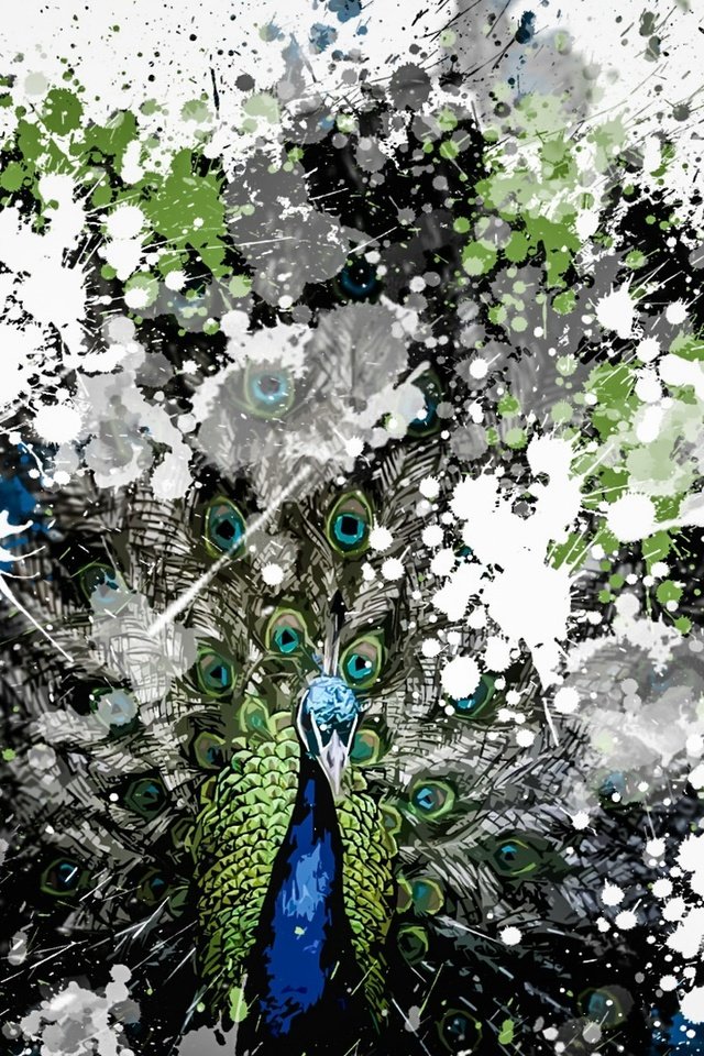 Обои фон, птица, павлин, background, bird, peacock разрешение 1920x1089 Загрузить