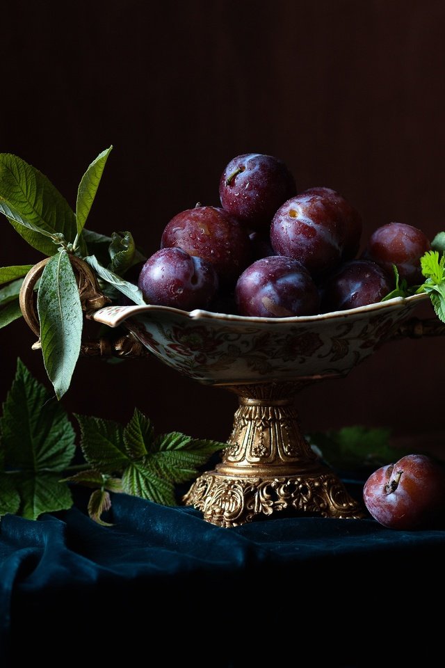 Обои листья, капли, фрукты, плоды, ваза, натюрморт, сливы, leaves, drops, fruit, vase, still life, plum разрешение 2500x1905 Загрузить