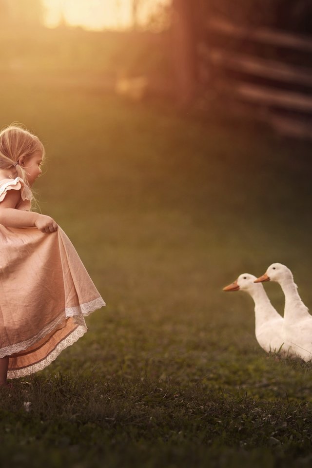 Обои платье, дети, девочка, птицы, гуси, dress, children, girl, birds, geese разрешение 2500x1786 Загрузить