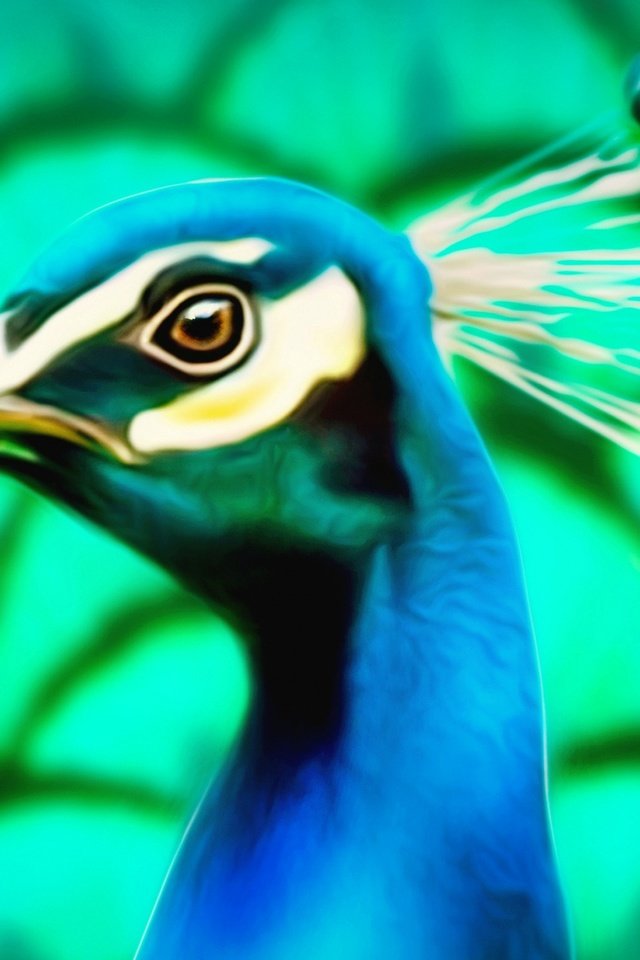 Обои природа, птица, павлин, хохолок, nature, bird, peacock, crest разрешение 2880x1564 Загрузить