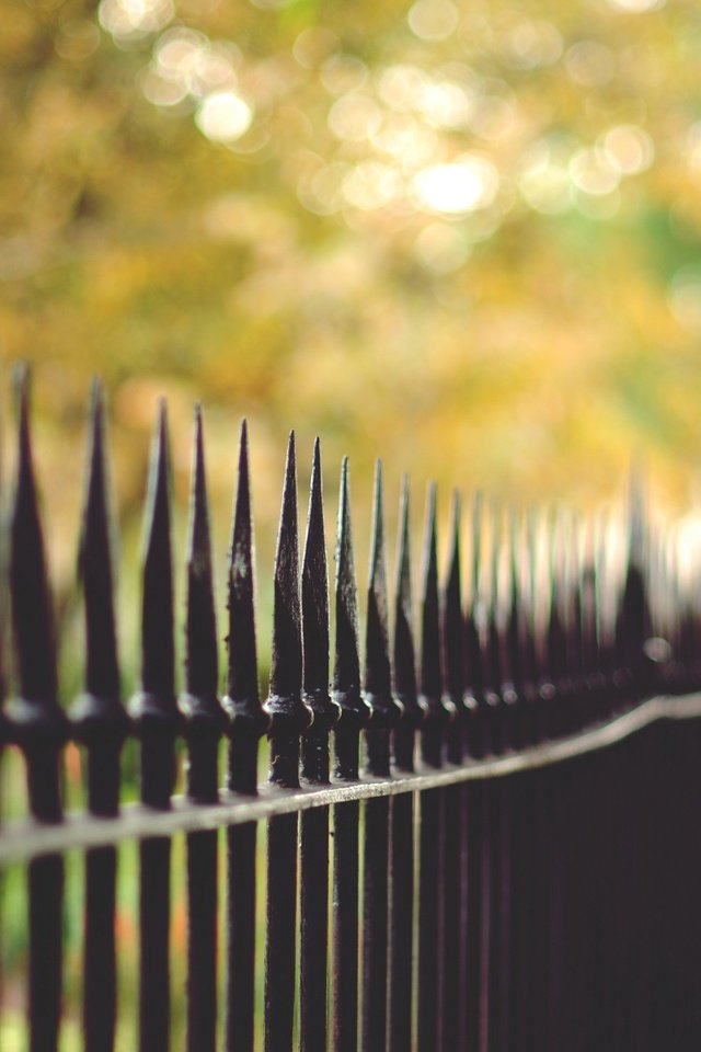 Обои забор, ограда, боке, the fence, fence, bokeh разрешение 2048x1360 Загрузить