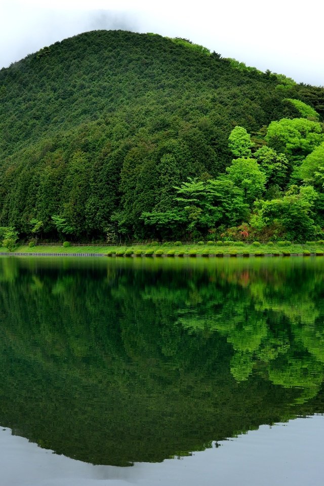 Обои деревья, зелень, отражение, пейзаж, гора, япония, холм, trees, greens, reflection, landscape, mountain, japan, hill разрешение 3000x1951 Загрузить