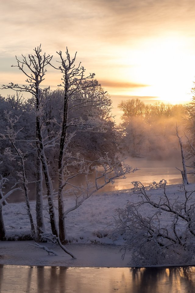 Обои деревья, река, снег, зима, утро, trees, river, snow, winter, morning разрешение 2048x1365 Загрузить