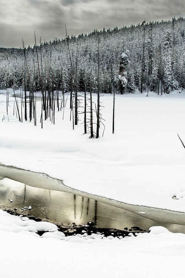 Обои деревья, вода, река, снег, лес, зима, trees, water, river, snow, forest, winter разрешение 2048x1363 Загрузить