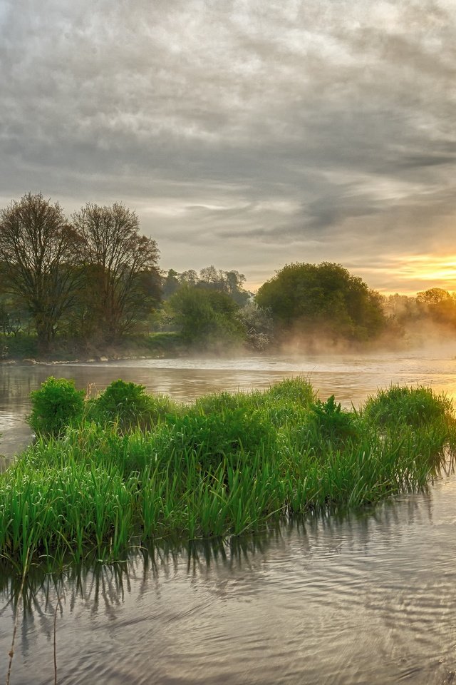 Обои озеро, растения, пейзаж, утро, рассвет, lake, plants, landscape, morning, dawn разрешение 2048x1298 Загрузить