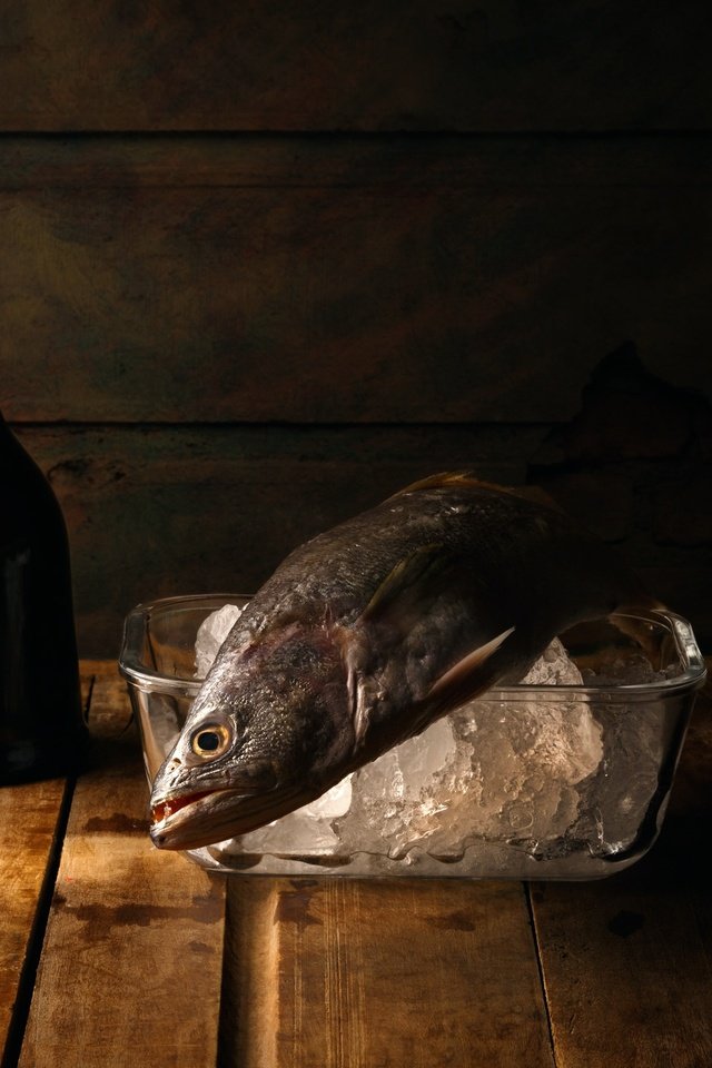 Обои лёд, стол, бутылка, нож, рыба, натюрморт, ice, table, bottle, knife, fish, still life разрешение 2048x1464 Загрузить