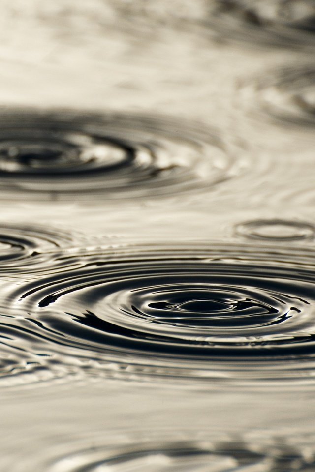 Обои вода, капли, круги, разводы, дождь, water, drops, circles, divorce, rain разрешение 2560x1600 Загрузить