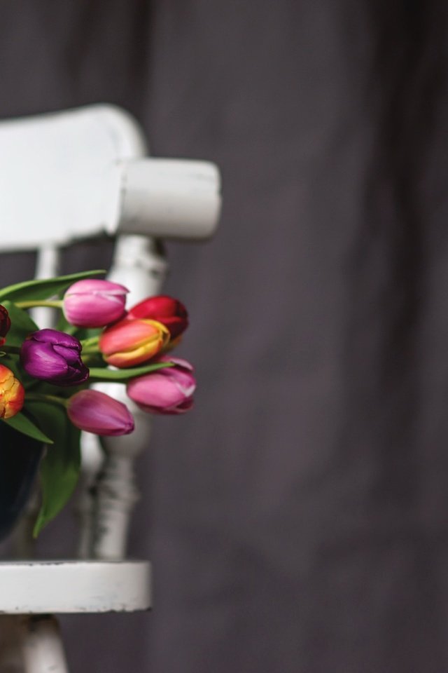 Обои цветы, фон, стул, букет, тюльпаны, таз, flowers, background, chair, bouquet, tulips, taz разрешение 2048x1318 Загрузить