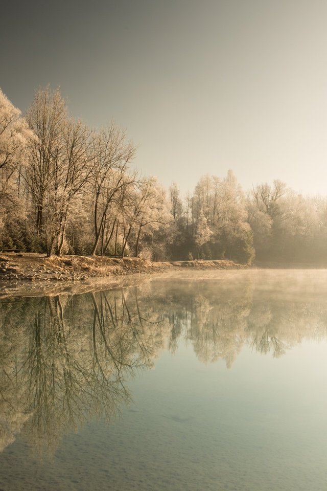 Обои деревья, озеро, лес, зима, отражение, туман, trees, lake, forest, winter, reflection, fog разрешение 2560x1613 Загрузить