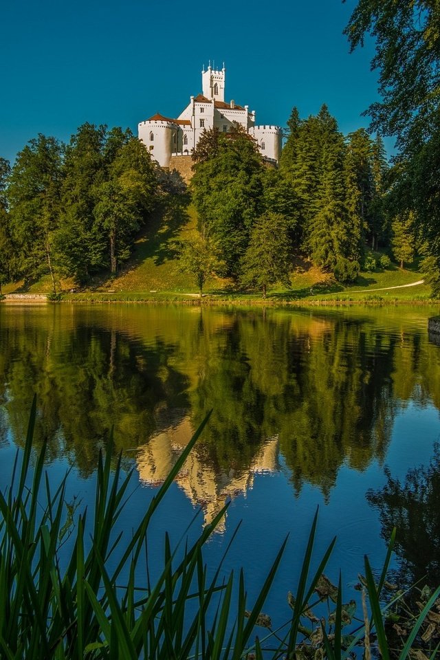 Обои деревья, озеро, отражение, замок, хорватия, тракоскан, trees, lake, reflection, castle, croatia, trakoscan разрешение 2048x1152 Загрузить