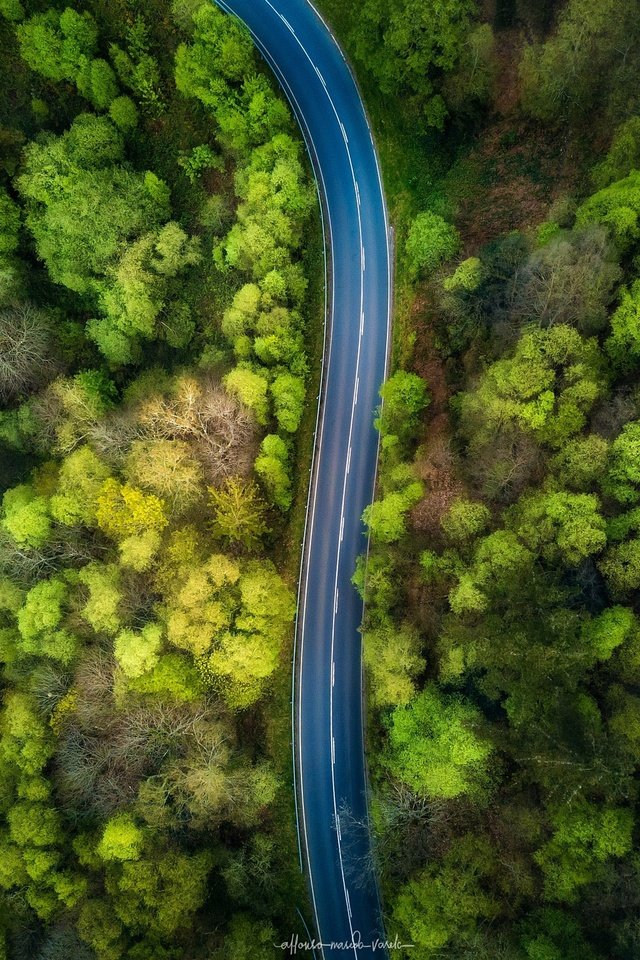 Обои дорога, деревья, природа, лес, вид сверху, road, trees, nature, forest, the view from the top разрешение 2048x1532 Загрузить