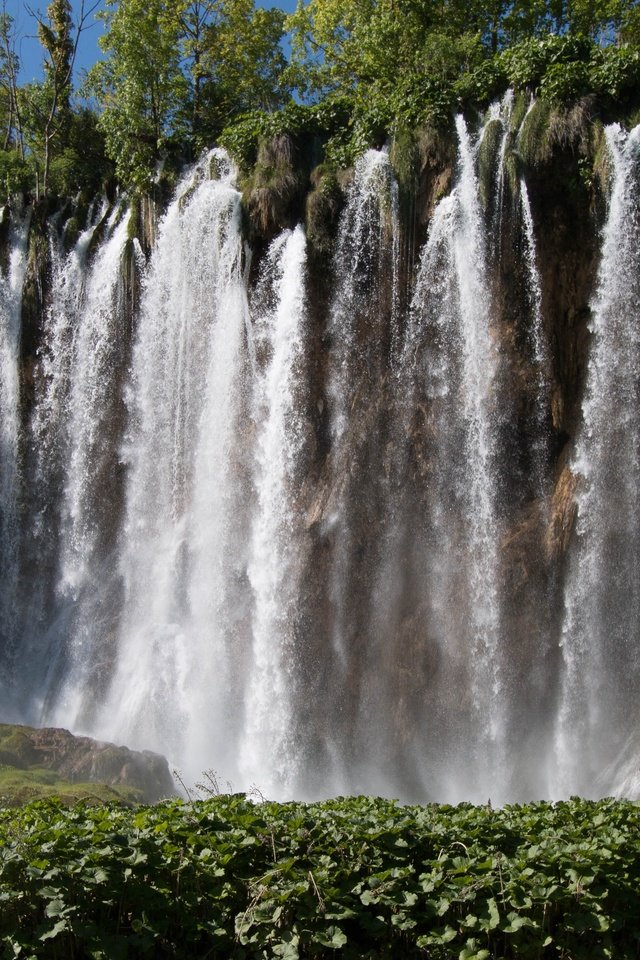 Обои деревья, природа, зелень, водопад, trees, nature, greens, waterfall разрешение 4477x2985 Загрузить