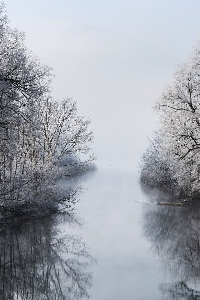 Обои деревья, река, зима, отражение, туман, ветки, чёрно-белое, trees, river, winter, reflection, fog, branches, black and white разрешение 2048x1365 Загрузить