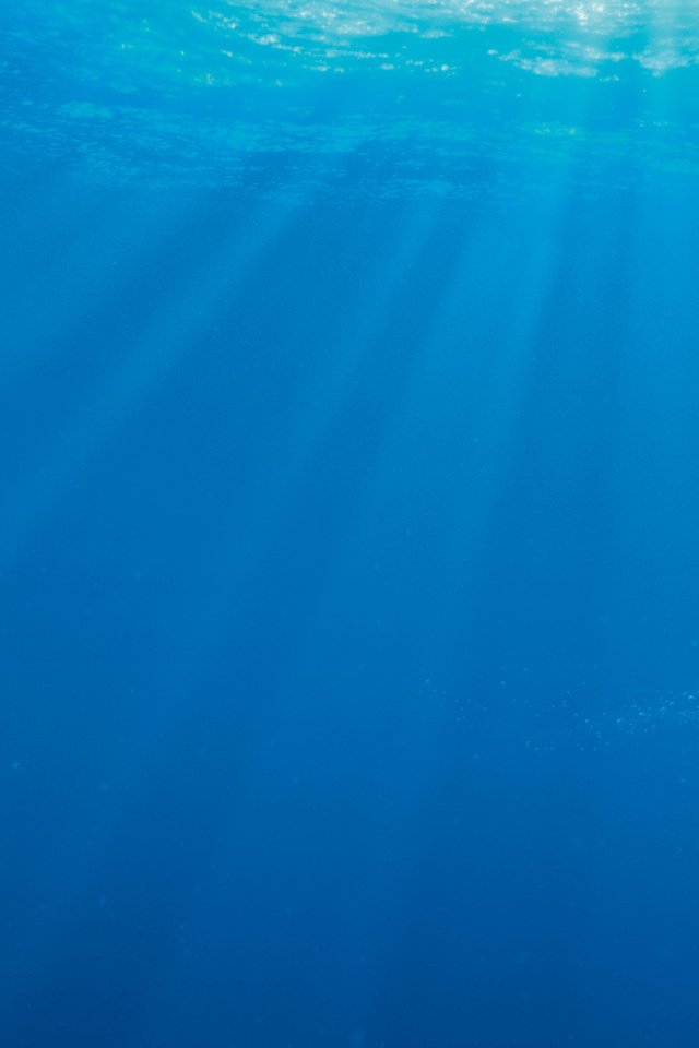 Обои море, мультфильм, рыбка, синева, пузырьки, лучи света, в поисках дори, дори, sea, cartoon, fish, blue, bubbles, rays of light, in finding dory, dori разрешение 2880x1800 Загрузить