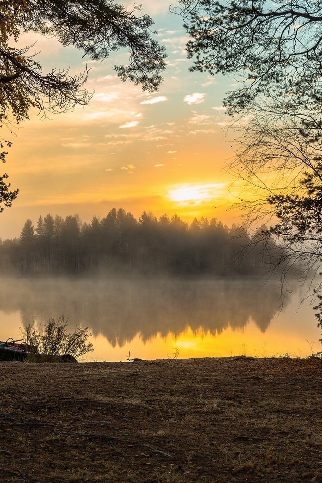 Обои озеро, лес, утро, туман, рассвет, lake, forest, morning, fog, dawn разрешение 2560x1600 Загрузить