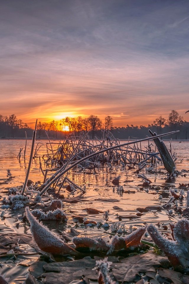 Обои небо, деревья, озеро, солнце, закат, иней, the sky, trees, lake, the sun, sunset, frost разрешение 2048x1238 Загрузить