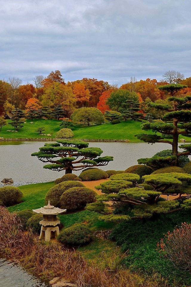 Обои трава, чикаго, деревья, botanic garden, дизайн, парк, кусты, осень, сша, пруд, grass, chicago, trees, design, park, the bushes, autumn, usa, pond разрешение 2525x1500 Загрузить