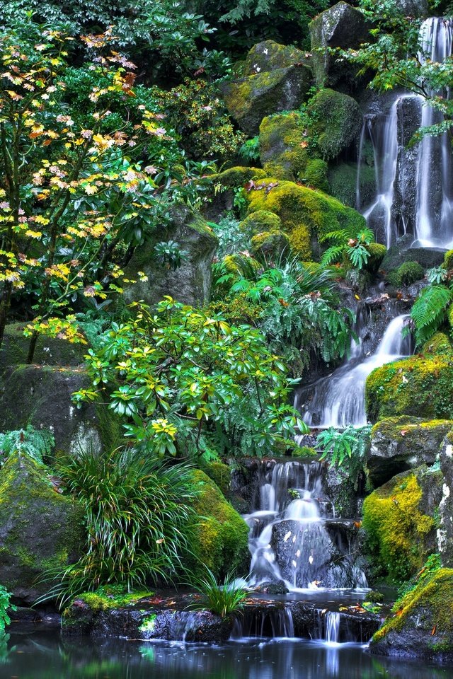 Обои деревья, вода, камни, зелень, водопад, орегон, японский сад, trees, water, stones, greens, waterfall, oregon, japanese garden разрешение 2048x1368 Загрузить