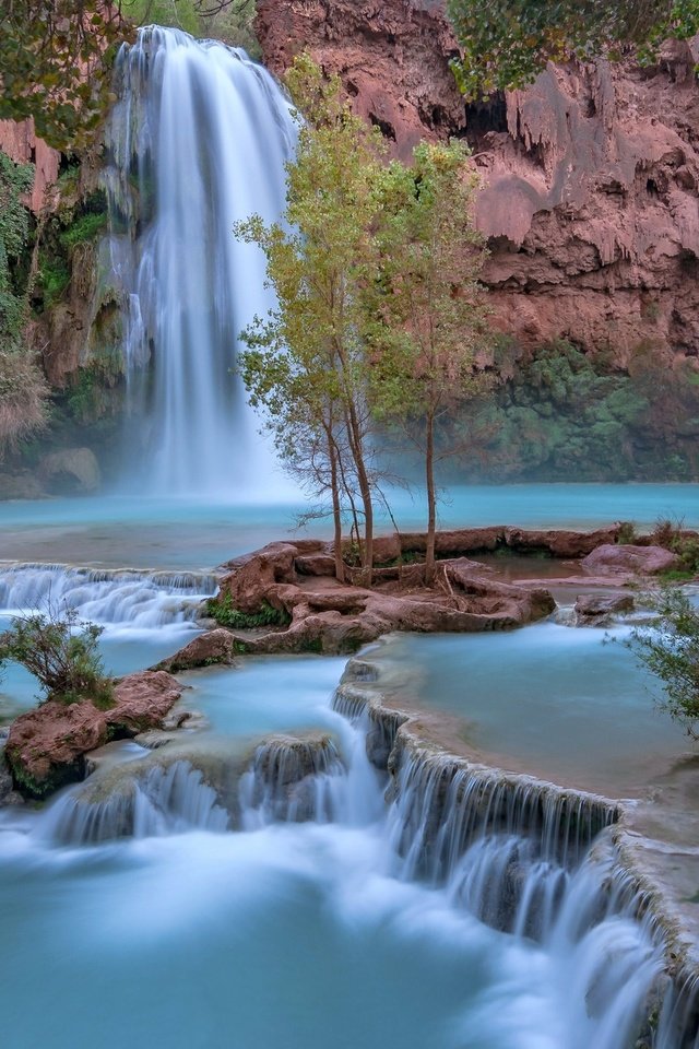 Обои деревья, скалы, водопад, аризона, гранд-каньон, водопад хавасу, trees, rocks, waterfall, az, the grand canyon, havasu falls разрешение 2048x1380 Загрузить