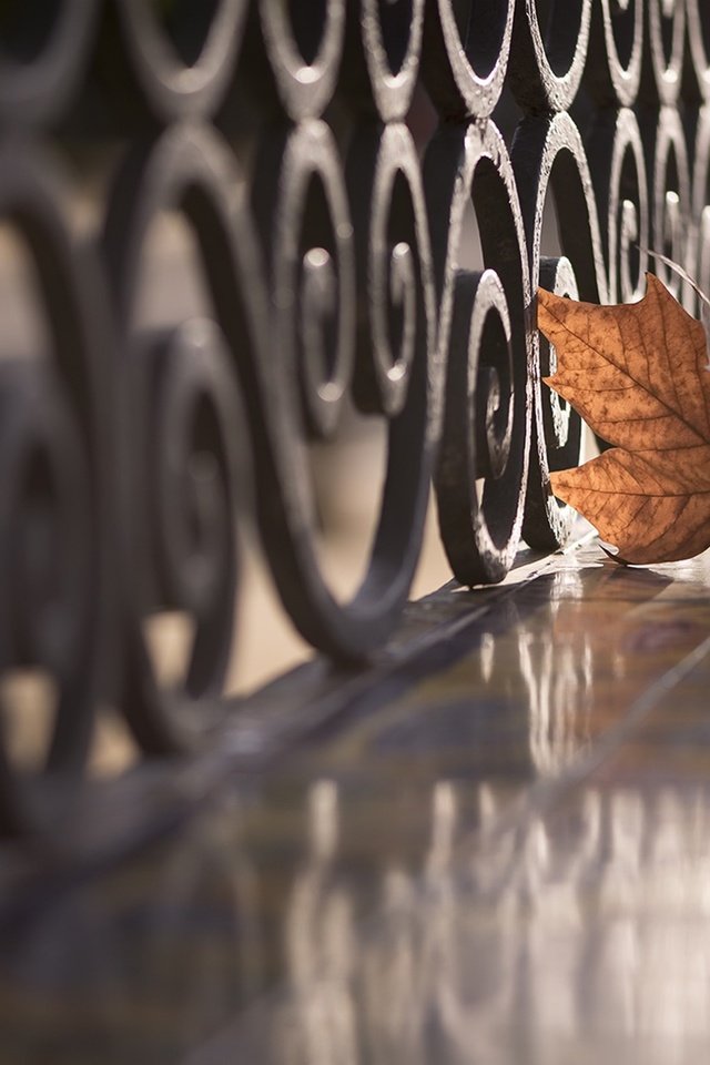 Обои отражение, осень, забор, лист, улица, reflection, autumn, the fence, sheet, street разрешение 1920x1215 Загрузить
